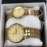 Biden Wristwatch - Gold (2in1)
